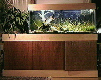 Aquarium Stand